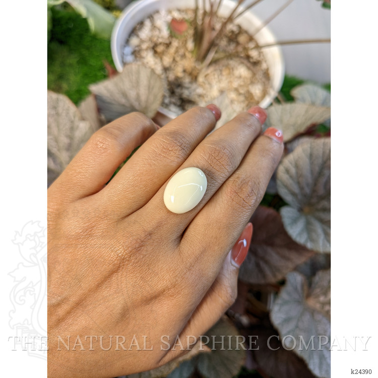 10.76 Ct. Salmon and White Cabochon Coral from Italy
