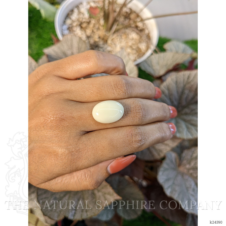 10.76 Ct. Salmon and White Cabochon Coral from Italy