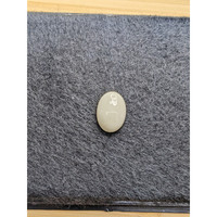 4.69 Ct. Salmon and White Cabochon Coral from Italy Life Style