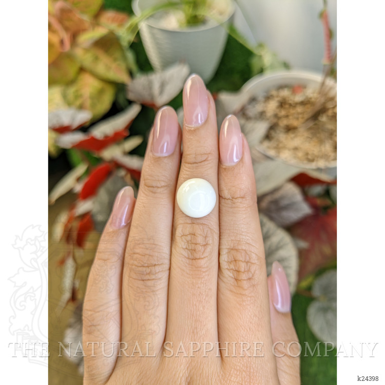 7.17 Ct. Salmon and White Cabochon Coral from Italy