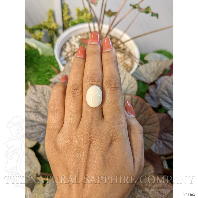 11.66 Ct. Salmon and White Cabochon Coral from Italy