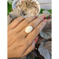11.66 Ct. Salmon and White Cabochon Coral from Italy Life Style