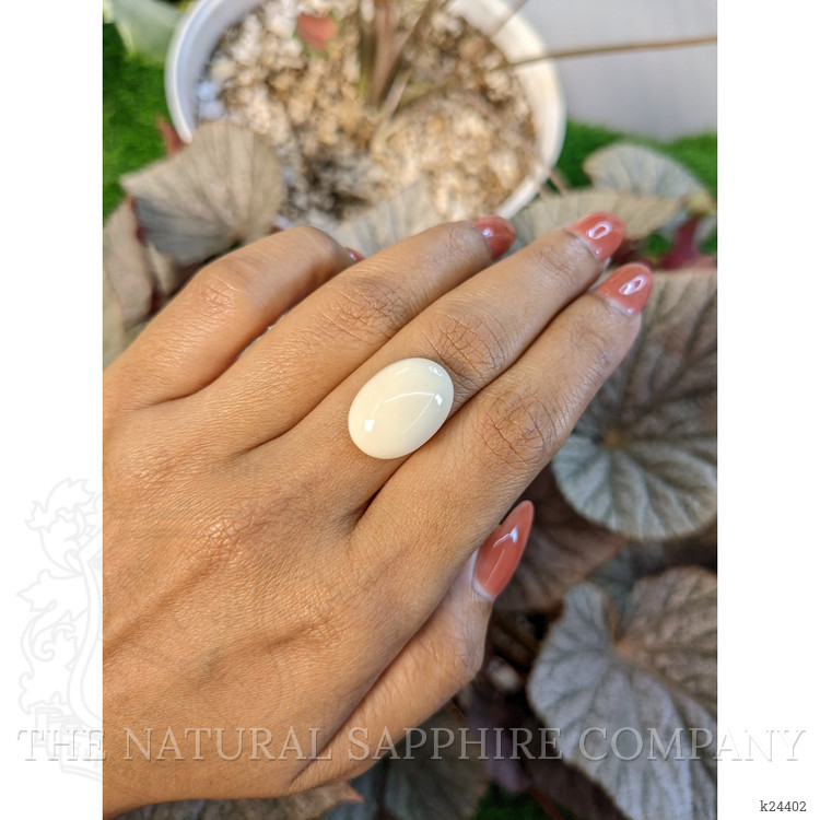 11.66 Ct. Salmon and White Cabochon Coral from Italy