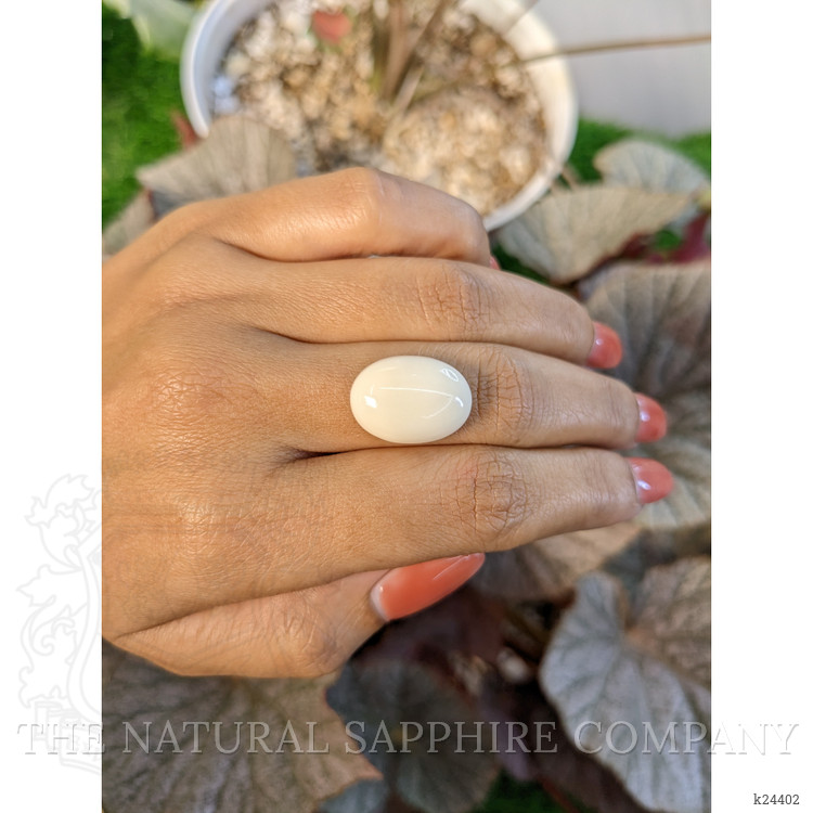 11.66 Ct. Salmon and White Cabochon Coral from Italy