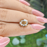 4.46 Ct. Yellowish Brown Zircon from Ceylon (Sri Lanka) Life Style