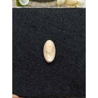 6.10 Ct. Salmon and White Coral from Italy Life Style