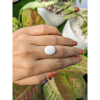5.24 Ct. Salmon and White Cabochon Coral from Italy Life Style