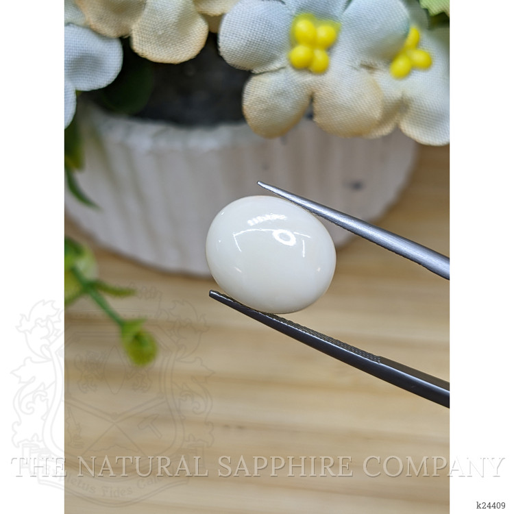 6.17 Ct. Salmon and White Cabochon Coral from Italy
