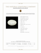 4.65 Ct. Salmon and White Cabochon Coral from Italy Scan Report