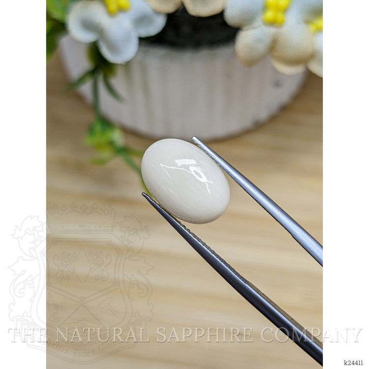 4.65 Ct. Salmon and White Cabochon Coral from Italy