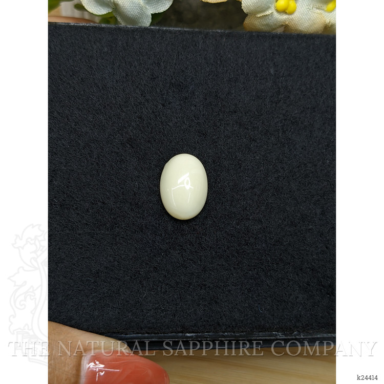 4.90 Ct. Salmon and White Cabochon Coral from Italy
