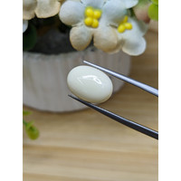 4.90 Ct. Salmon and White Cabochon Coral from Italy Life Style