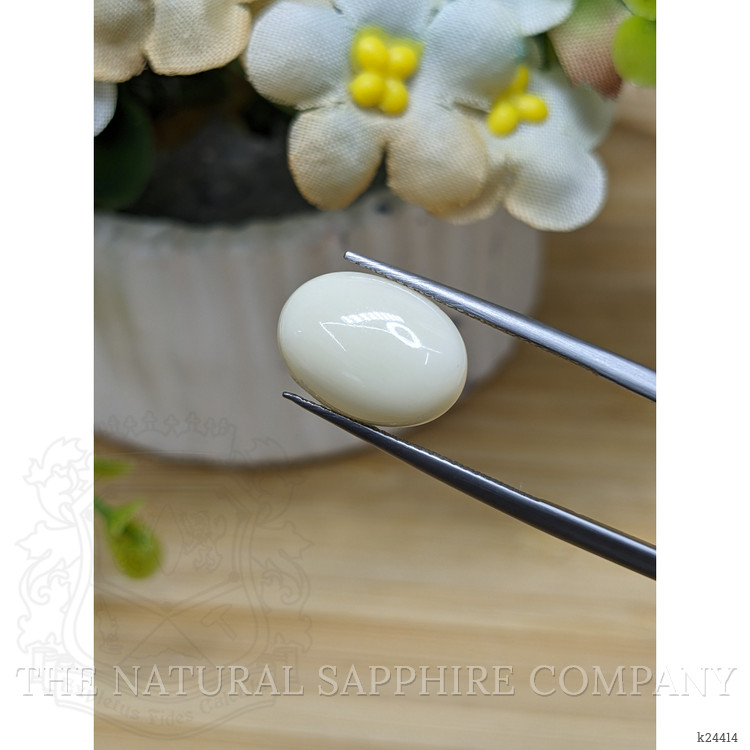 4.90 Ct. Salmon and White Cabochon Coral from Italy