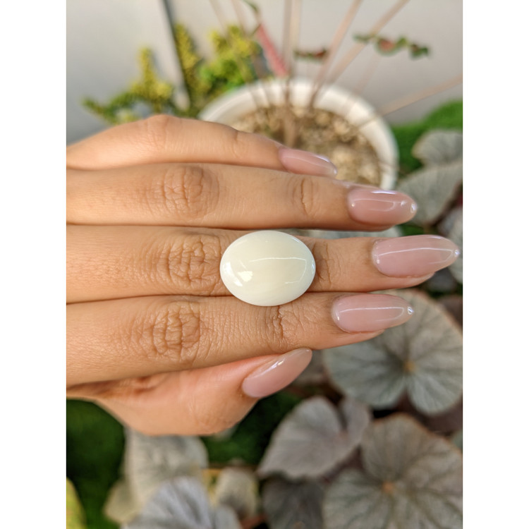 9.99 Ct. Salmon and White Cabochon Coral from Italy