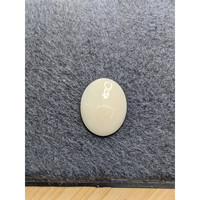 9.99 Ct. Salmon and White Cabochon Coral from Italy Life Style