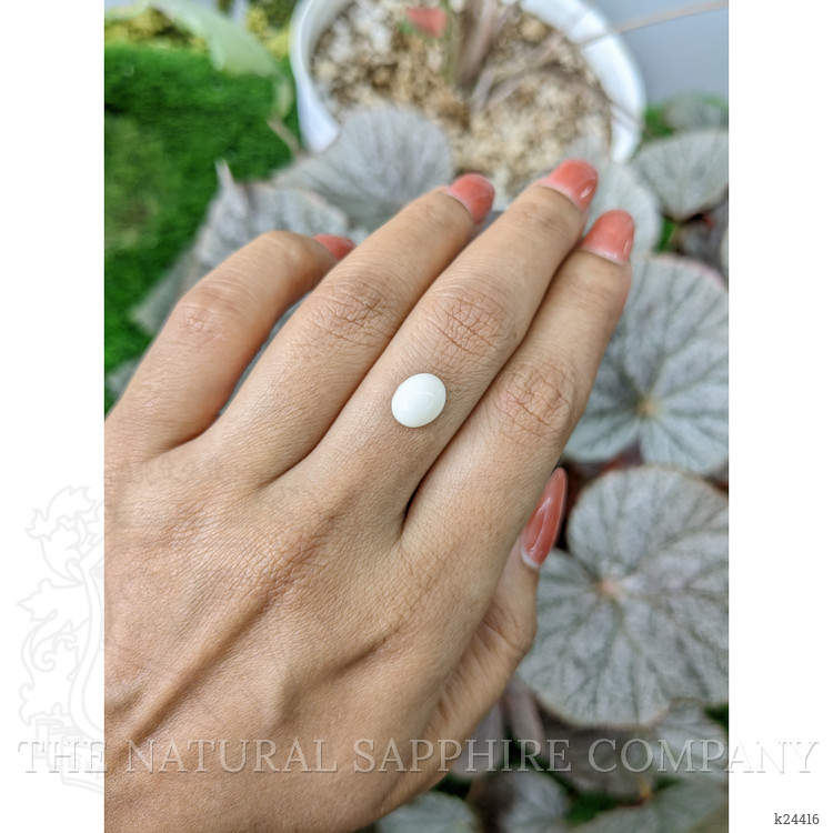 2.21 Ct. Salmon and White Cabochon Coral from Italy
