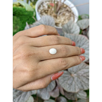 2.21 Ct. Salmon and White Cabochon Coral from Italy Life Style