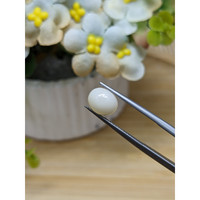 2.21 Ct. Salmon and White Cabochon Coral from Italy Life Style