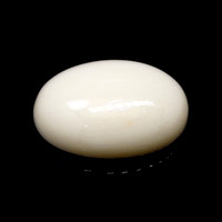 11.28 Ct. Salmon and White Cabochon Coral from Italy Video