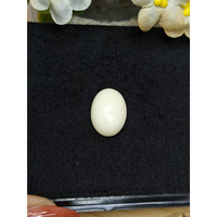 11.28 Ct. Salmon and White Cabochon Coral from Italy Life Style