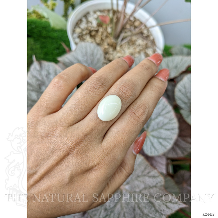 11.23 Ct. Salmon and White Cabochon Coral from Italy