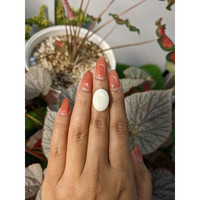 8.76 Ct. Salmon and White Cabochon Coral from Italy Life Style
