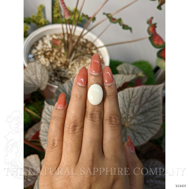 8.76 Ct. Salmon and White Cabochon Coral from Italy