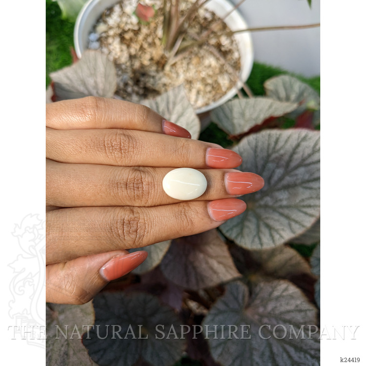 8.76 Ct. Salmon and White Cabochon Coral from Italy