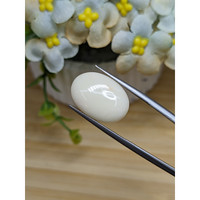 8.76 Ct. Salmon and White Cabochon Coral from Italy Life Style