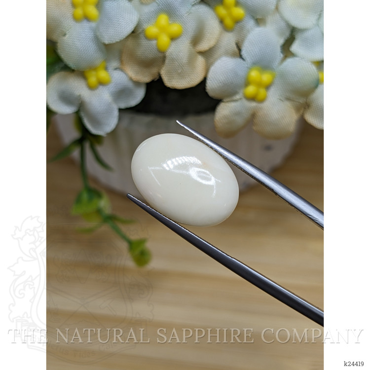 8.76 Ct. Salmon and White Cabochon Coral from Italy