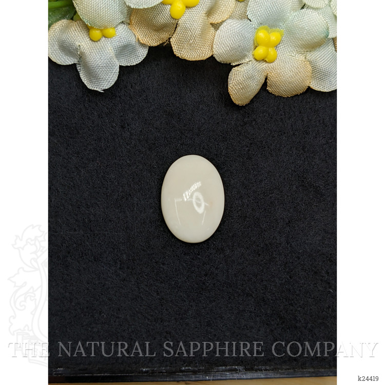 8.76 Ct. Salmon and White Cabochon Coral from Italy