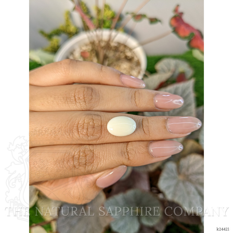 4.11 Ct. Salmon and White Cabochon Coral from Italy