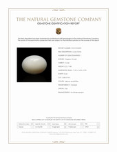 9.48 Ct. Salmon and White Cabochon Coral from Italy Scan Report