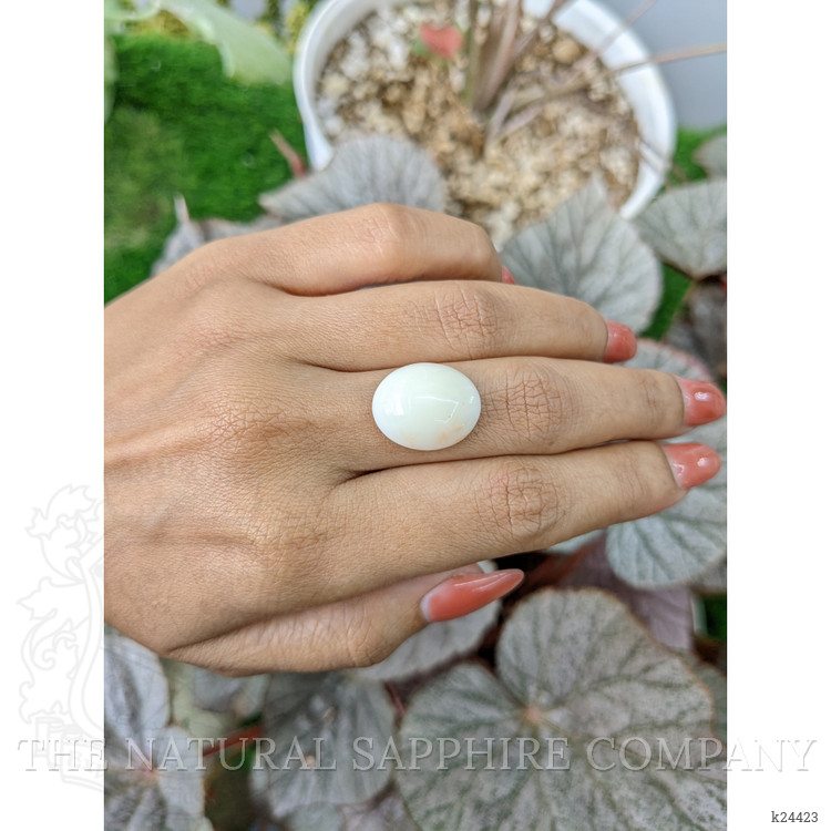 9.48 Ct. Salmon and White Cabochon Coral from Italy