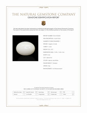 8.27 Ct. Salmon and White Cabochon Coral from Italy Scan Report