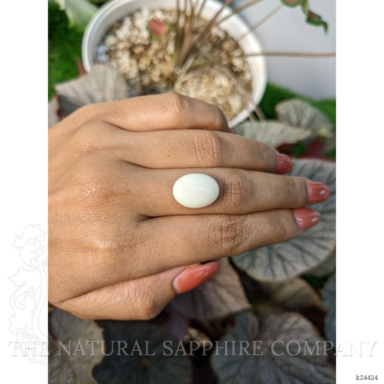 8.27 Ct. Salmon and White Cabochon Coral from Italy