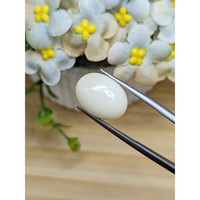 8.27 Ct. Salmon and White Cabochon Coral from Italy Life Style