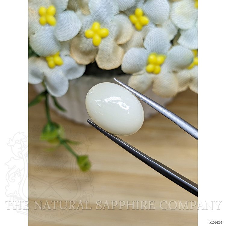 8.27 Ct. Salmon and White Cabochon Coral from Italy