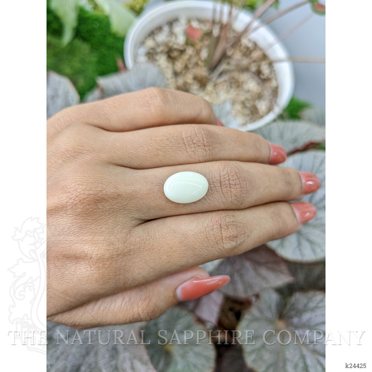 4.95 Ct. Salmon and White Cabochon Coral from Italy