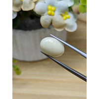 4.95 Ct. Salmon and White Cabochon Coral from Italy Life Style