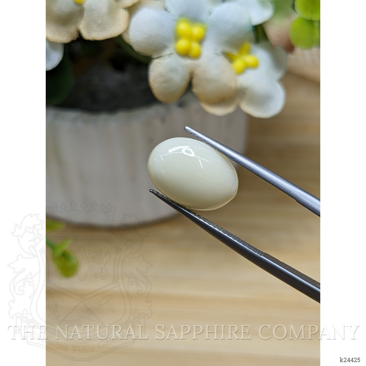 4.95 Ct. Salmon and White Cabochon Coral from Italy