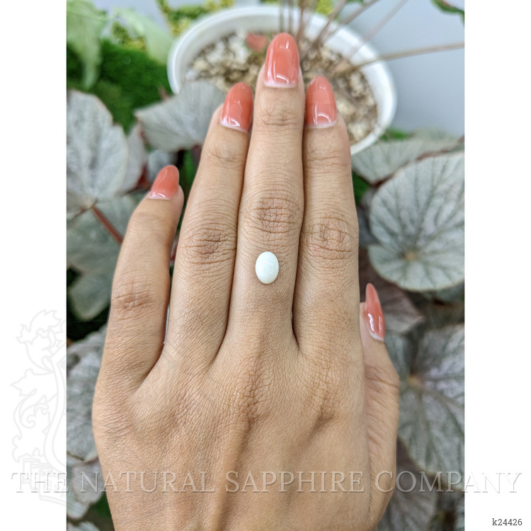 1.26 Ct. Salmon and White Cabochon Coral from Italy