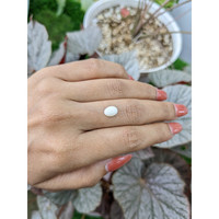 1.26 Ct. Salmon and White Cabochon Coral from Italy Life Style