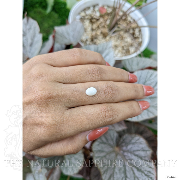 1.26 Ct. Salmon and White Cabochon Coral from Italy