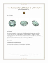 1.13 Ct. Greenish Blue Tourmaline from Mozambique Appraisal