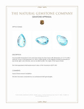 3.44 Ct. Sky Blue Topaz from Brazil Appraisal