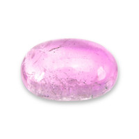 60.00 Ct. Pink Cabochon Kunzite from Afghanistan Video