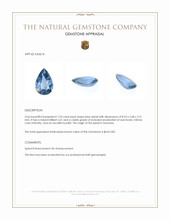 1.03 Ct. Blue Spinel from Tanzania Appraisal