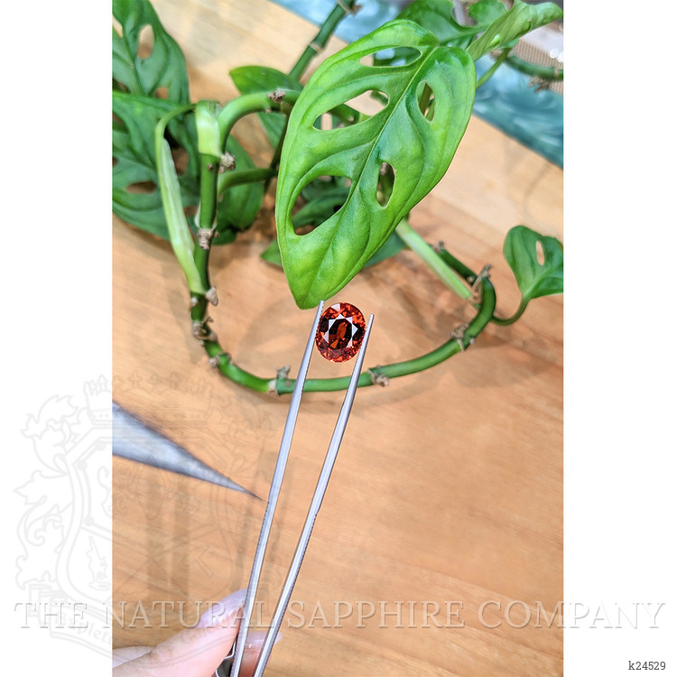 8.04 Ct. Orange Spessartite Garnet from Namibia