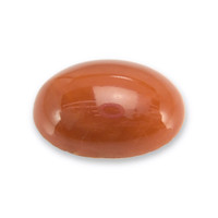 10.66 Ct. Salmon (Orange) Cabochon Coral from Mexico Video